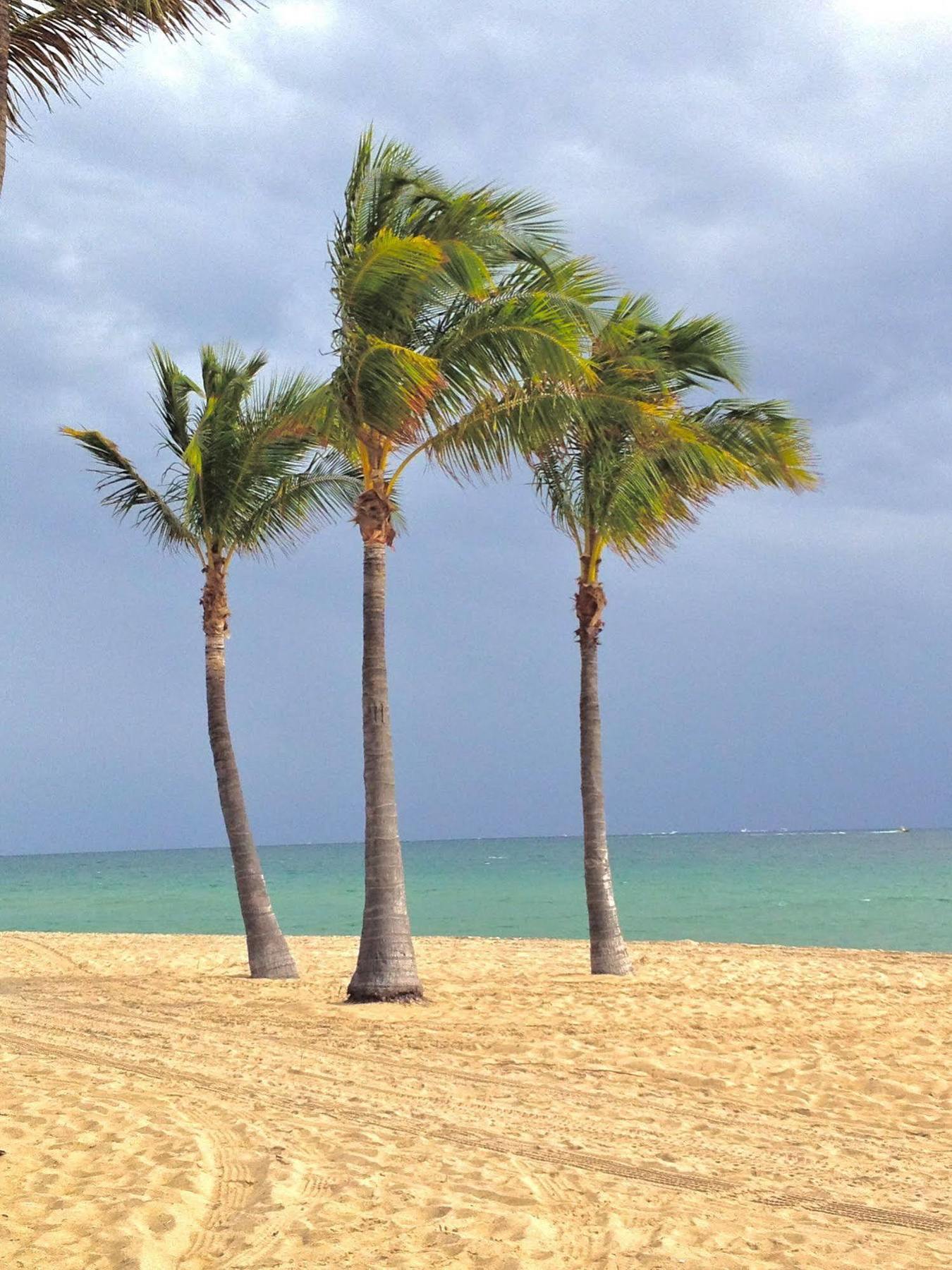 Fortuna Fort Lauderdale Eksteriør billede